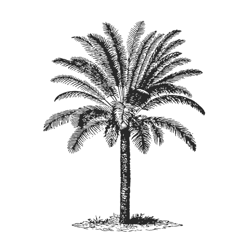 palma.codes logo